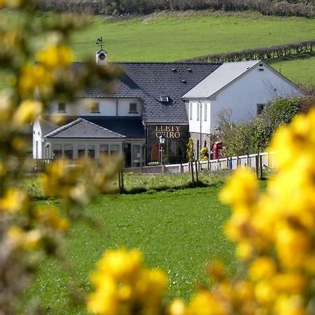 Llety Ceiro Guesthouse Aberystwyth Eksteriør bilde