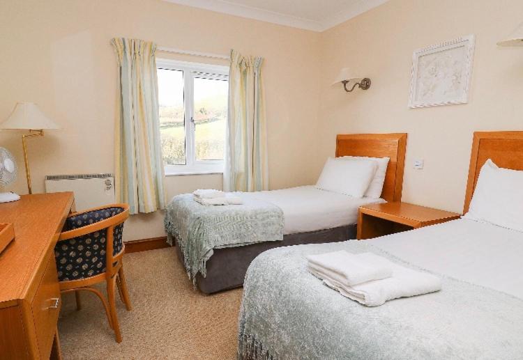 Llety Ceiro Guesthouse Aberystwyth Eksteriør bilde