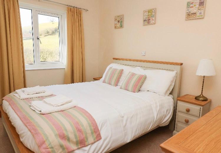 Llety Ceiro Guesthouse Aberystwyth Eksteriør bilde