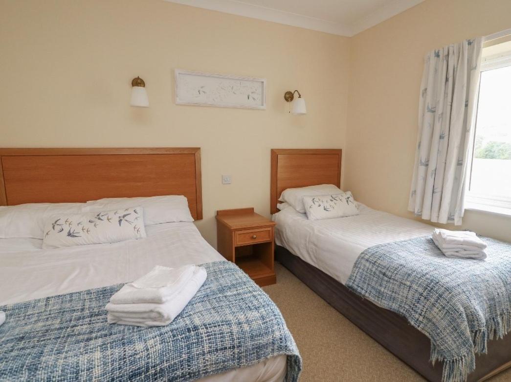 Llety Ceiro Guesthouse Aberystwyth Eksteriør bilde