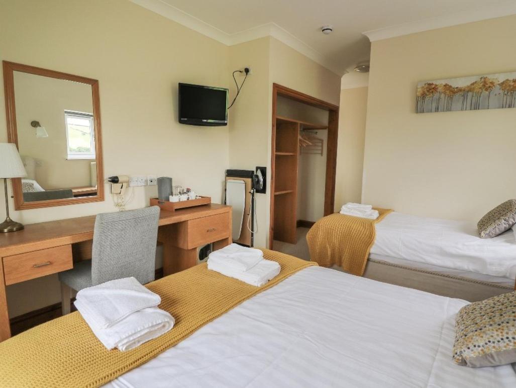 Llety Ceiro Guesthouse Aberystwyth Eksteriør bilde