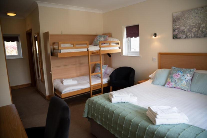 Llety Ceiro Guesthouse Aberystwyth Eksteriør bilde