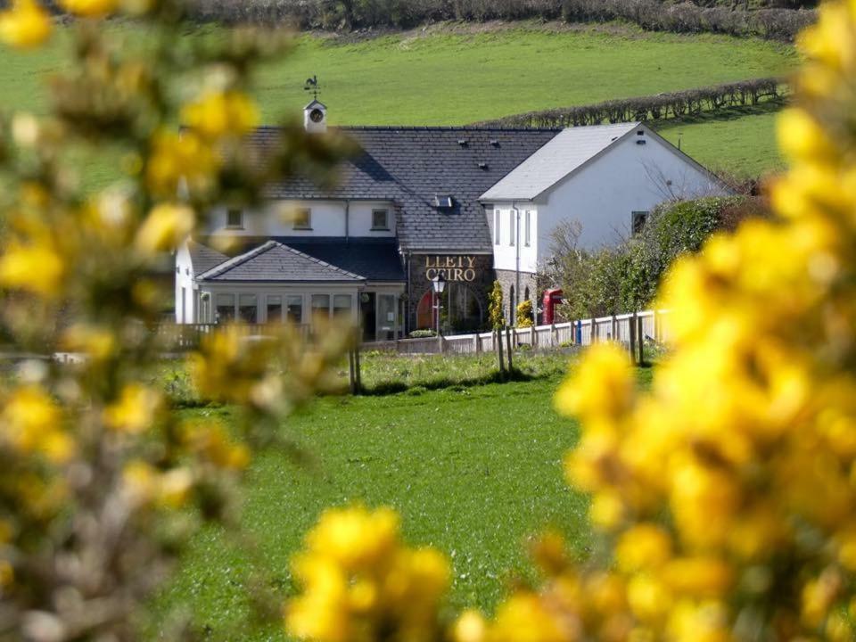 Llety Ceiro Guesthouse Aberystwyth Eksteriør bilde