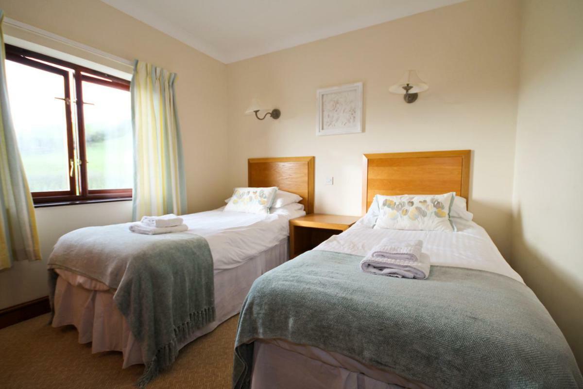 Llety Ceiro Guesthouse Aberystwyth Eksteriør bilde